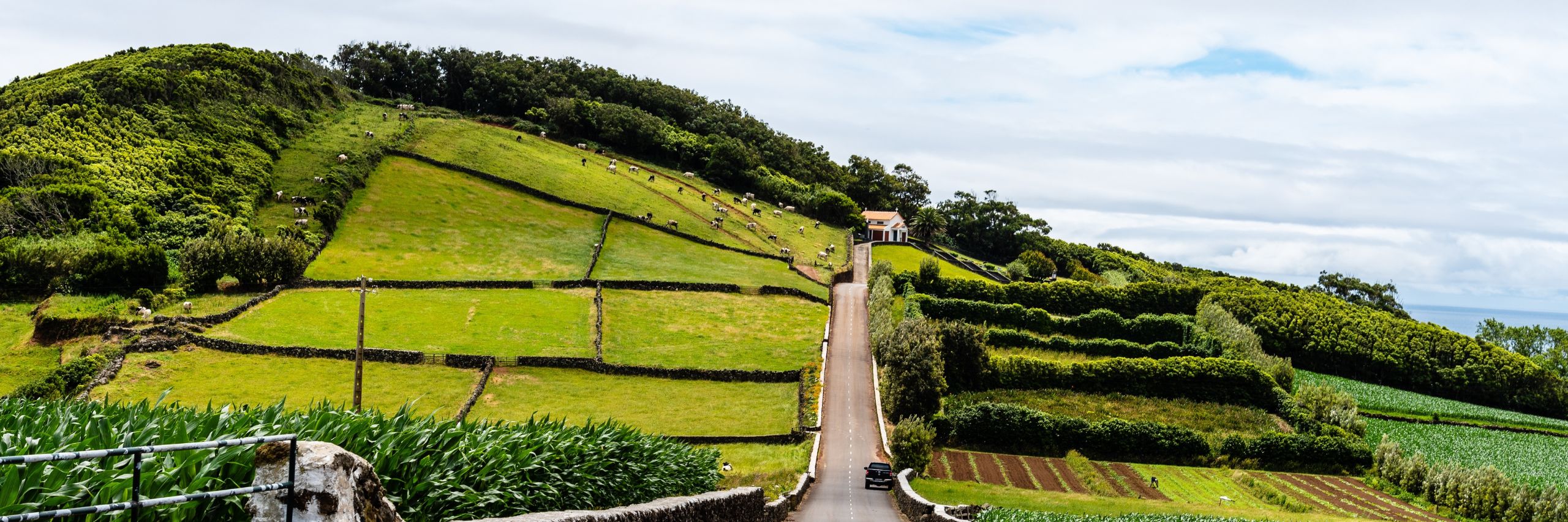 COMBINADO AZORES - SÃO MIGUEL Y TERCEIRA (2) | desde Barcelona