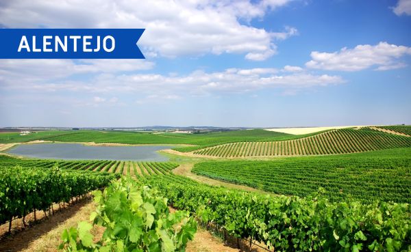 TESOROS VINÍCOLAS DEL ALENTEJO