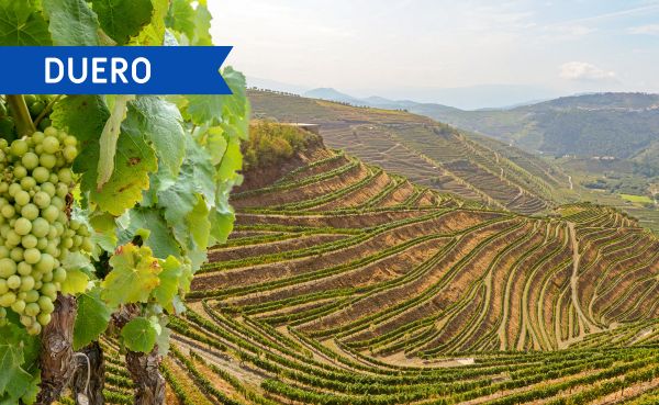 ESENCIAS VINÍCOLAS DEL DUERO