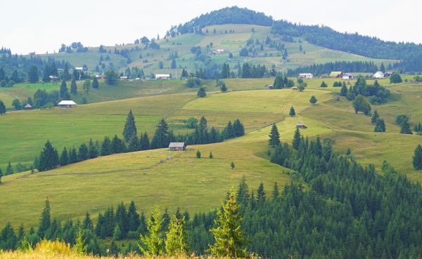 Imagen de BISTRITA