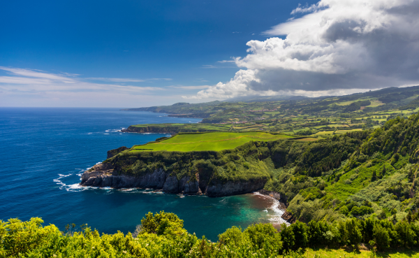 Combinado São Miguel y Terceira  - Verano