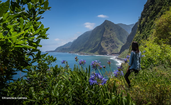 MADEIRA - VERANO